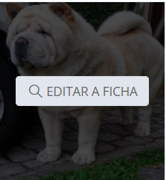 Passando o mouse sobre a imagem para edição da ficha